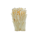 White Enoki Mushroom Grain Spawn 1.5kg (915)
